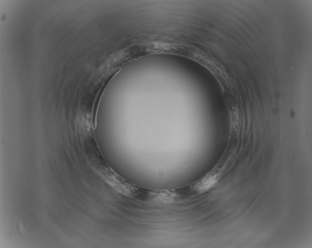 X0000073480621200608211626