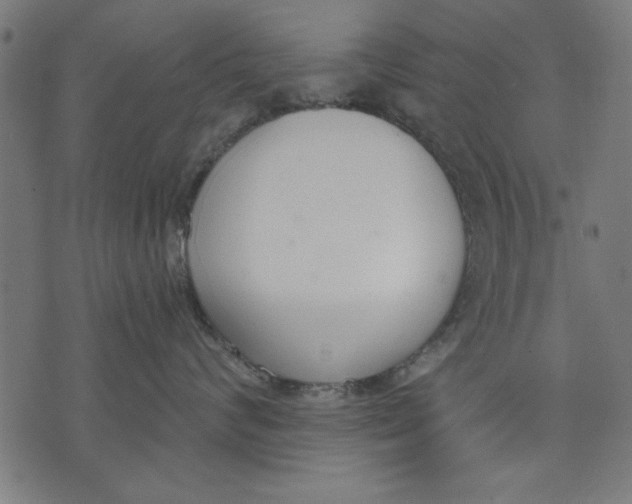 X0000073480624200608211626