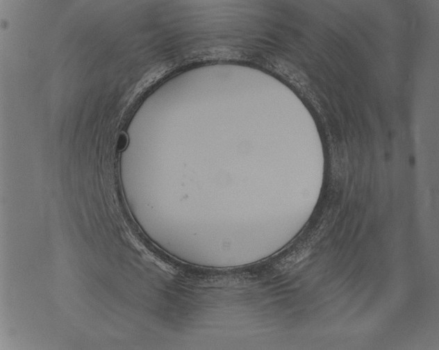 X0000073480625200608211625