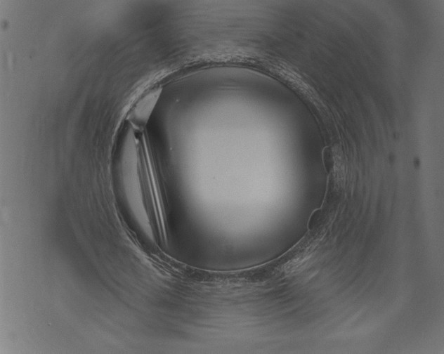 X0000073480626200608211625