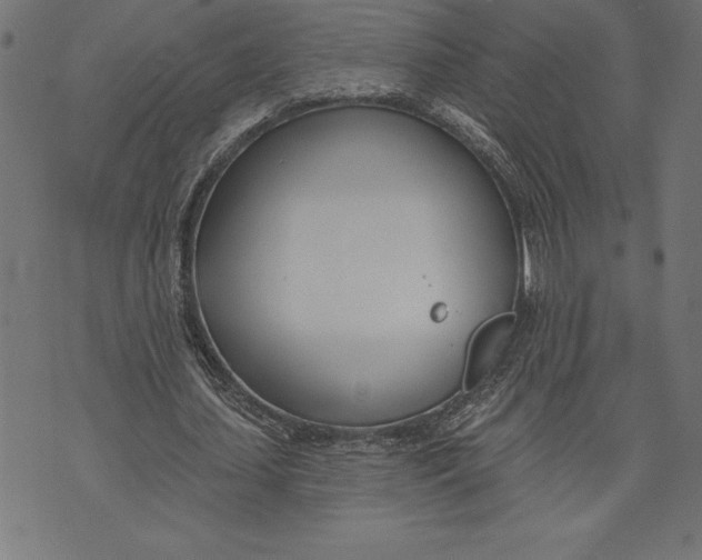 X0000073480627200608211625