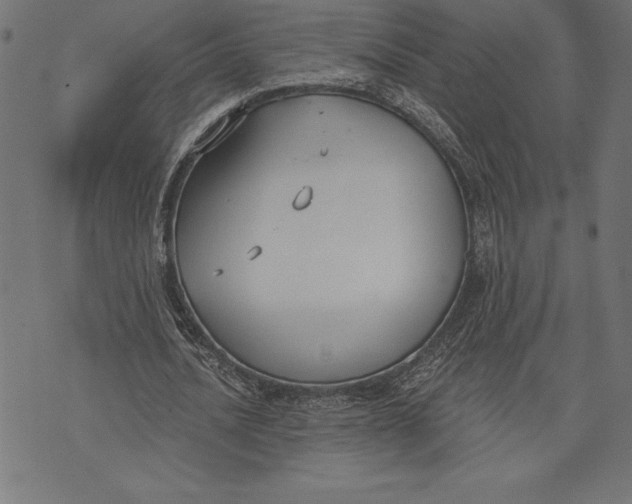 X0000073480628200608211625