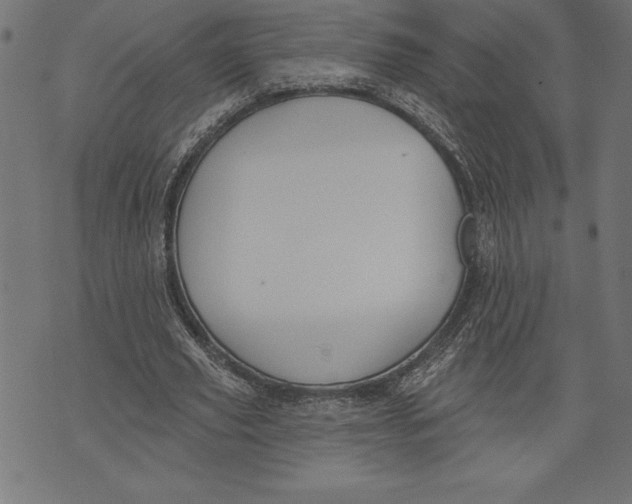 X0000073480629200608211625