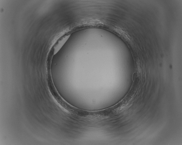 X0000073480630200608211625