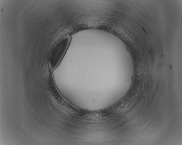 X0000073480639200608211626