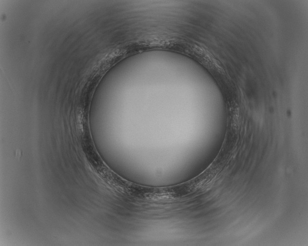 X0000073480643200608211626