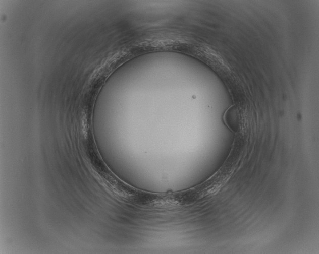 X0000073480644200608211626