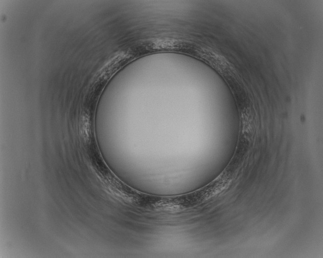 X0000073480648200608211626