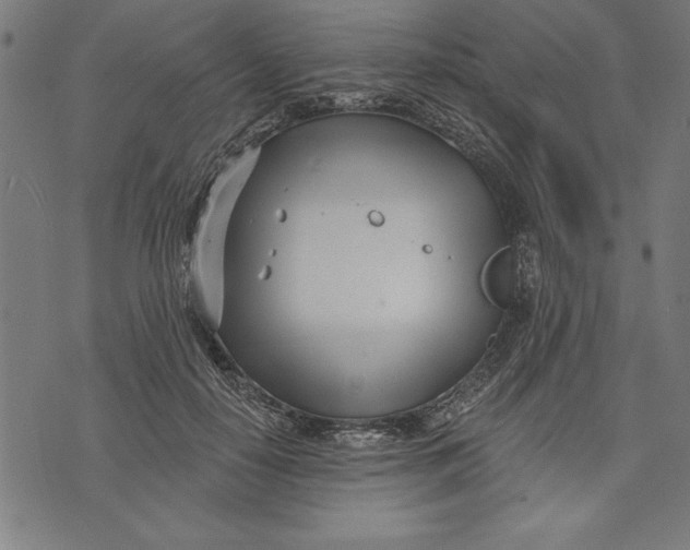 X0000073480650200608211626