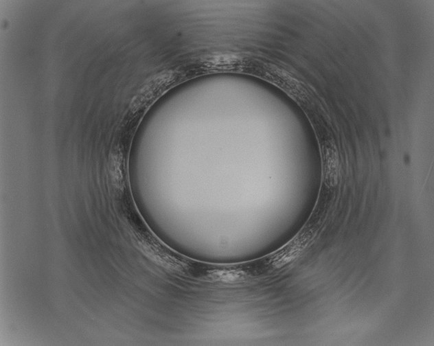 X0000073480654200608211626