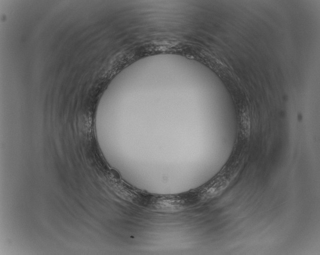 X0000073480657200608211626