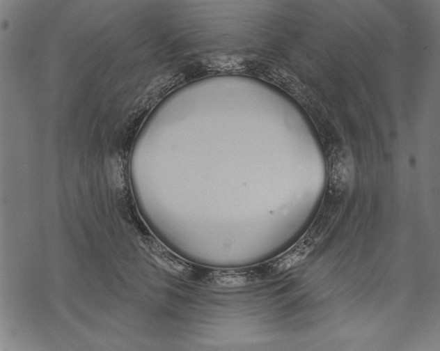 X0000073480658200608211626