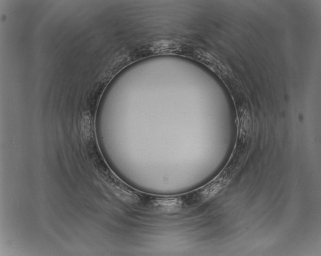 X0000073480659200608211626