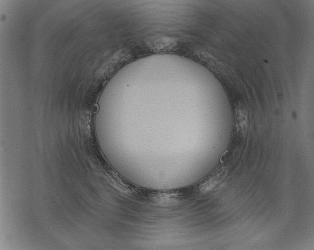 X0000073480664200608211626