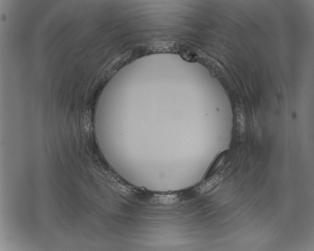 X0000073480665200608211626