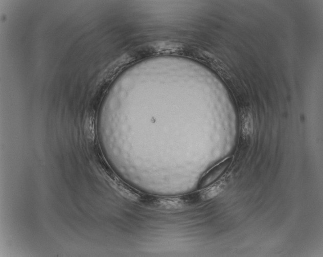 X0000073480666200608211626