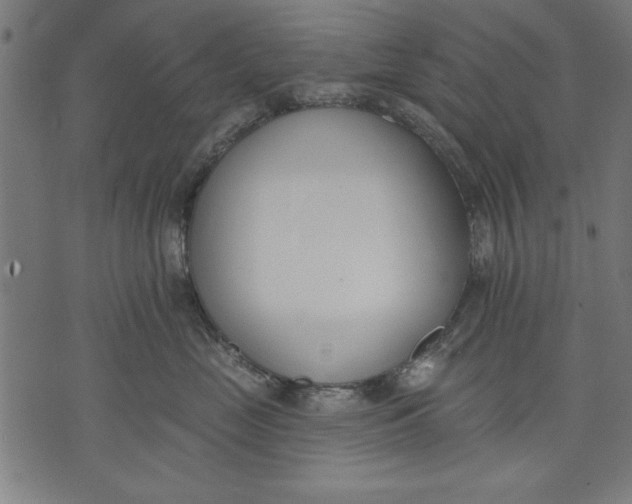 X0000073480669200608211626