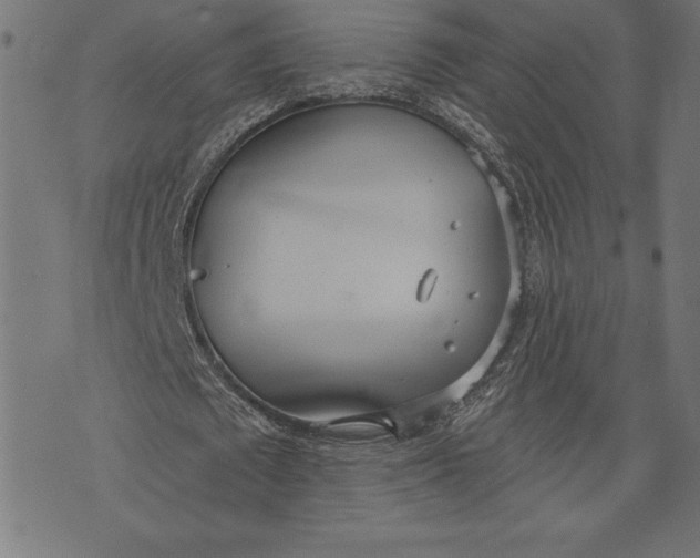 X0000073480673200608211625