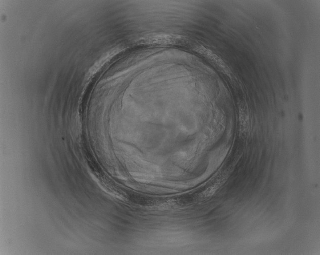 X0000073480674200608211625