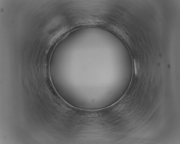 X0000073480675200608211625