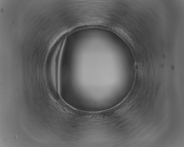 X0000073480676200608211625