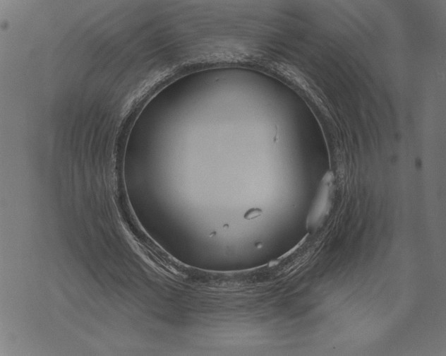 X0000073480677200608211625