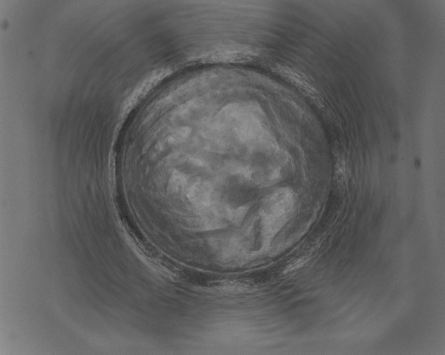 X0000073480678200608211625