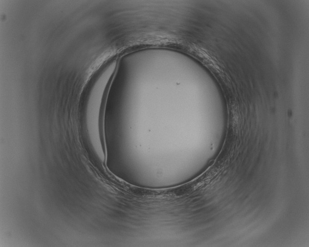 X0000073480679200608211625