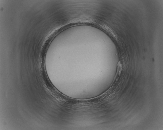 X0000073480680200608211625