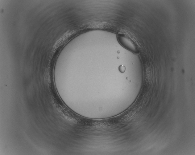 X0000073480682200608211625