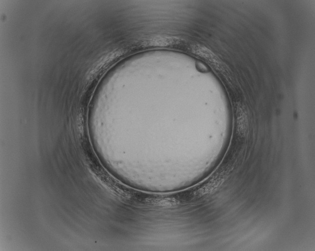 X0000073480683200608211625