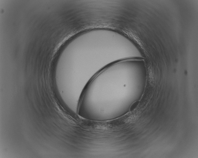 X0000073480684200608211625