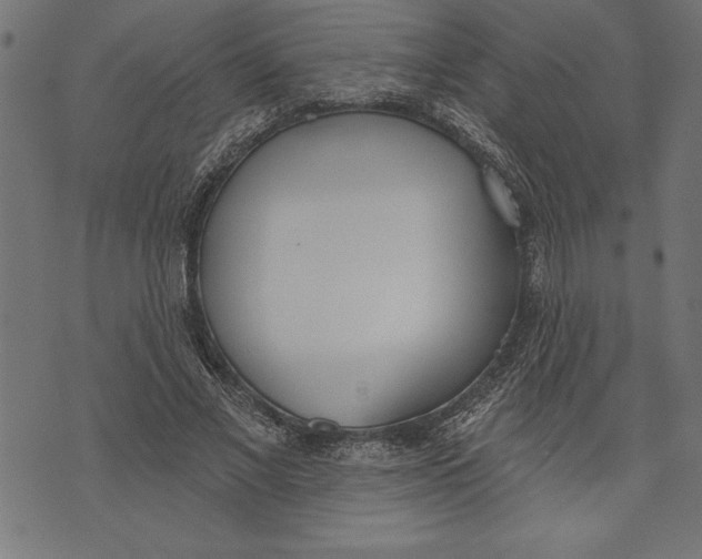 X0000073480685200608211625