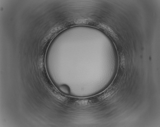 X0000073480687200608211625