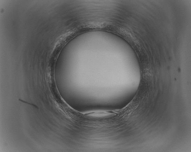 X0000073480688200608211625