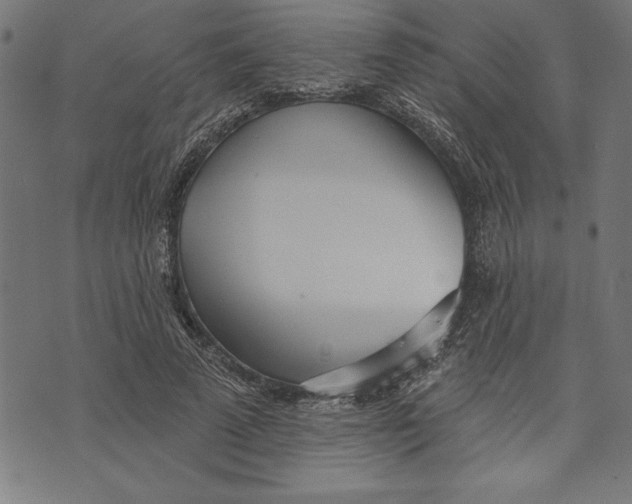 X0000073480689200608211625