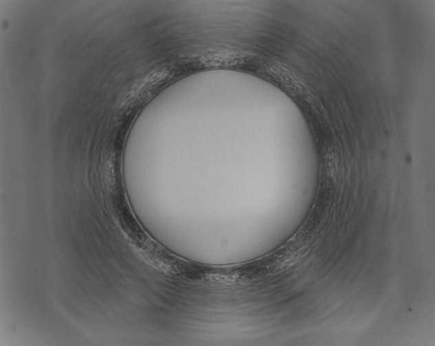 X0000073480690200608211625