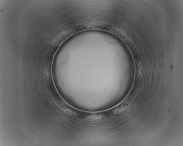 X0000073480691200608211625