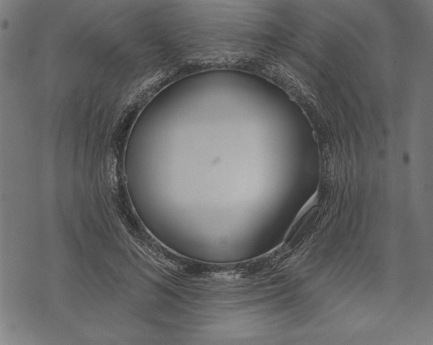 X0000073480692200608211625