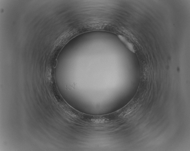 X0000073480693200608211625