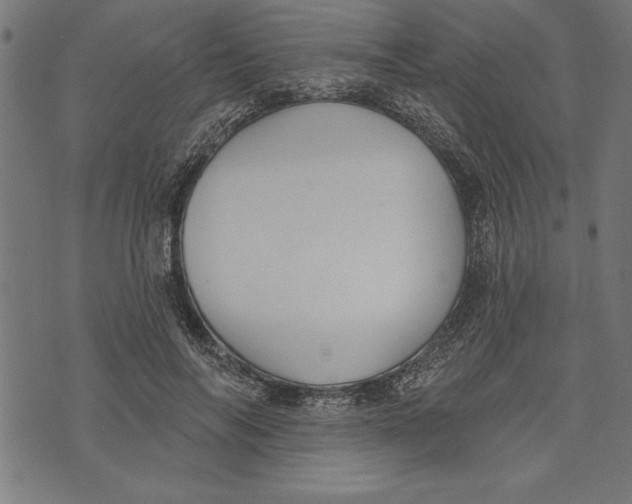 X0000073480694200608211625