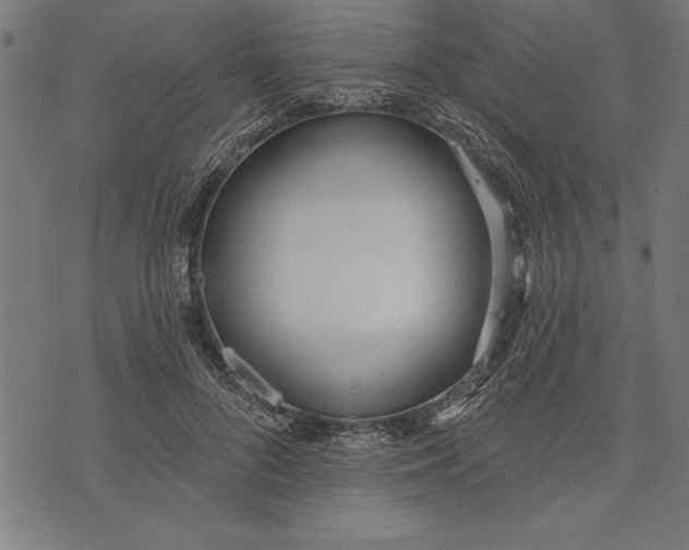 X0000073480696200608211625