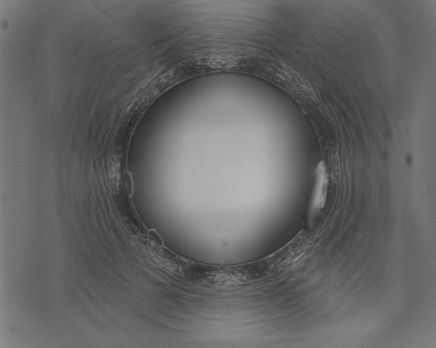 X0000073480697200608211625