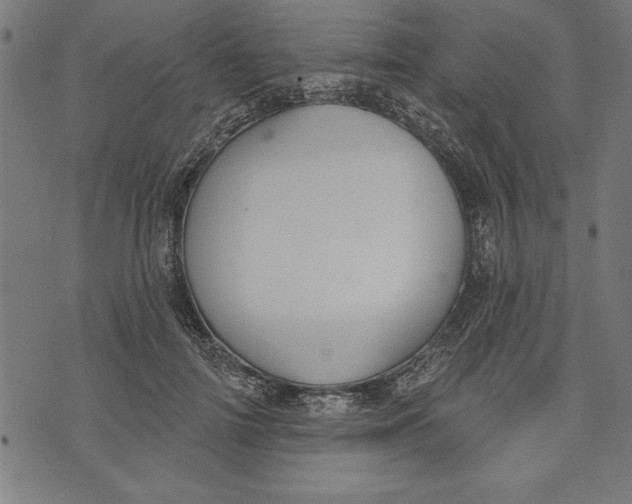 X0000073480698200608211625