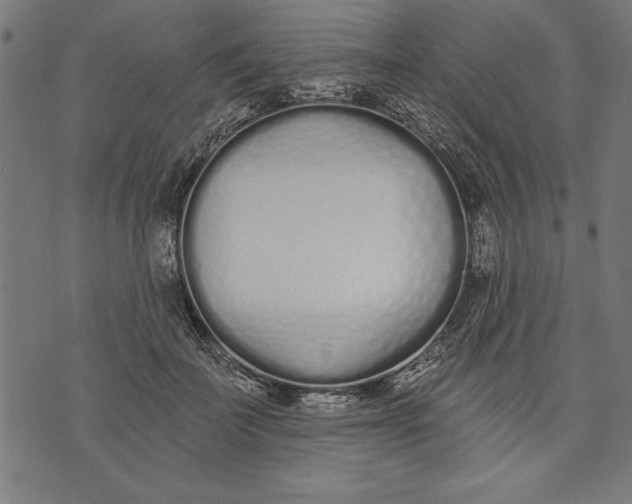 X0000073480699200608211625