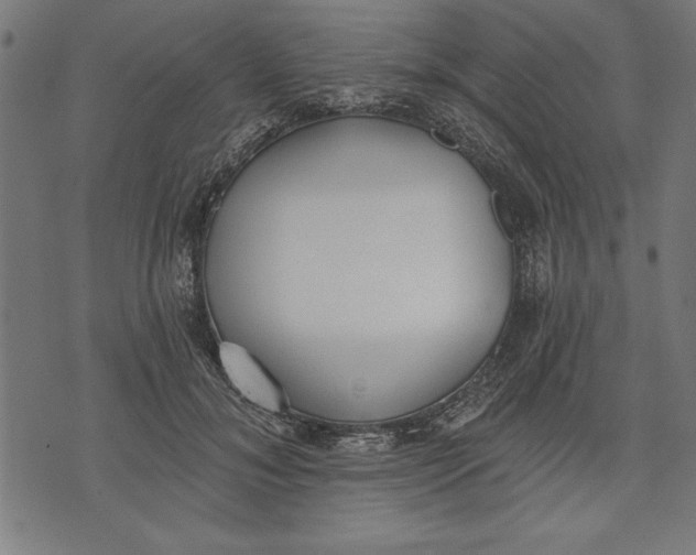 X0000073480700200608211625