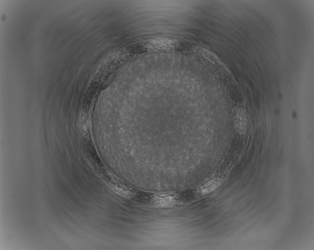 X0000073480701200608211625