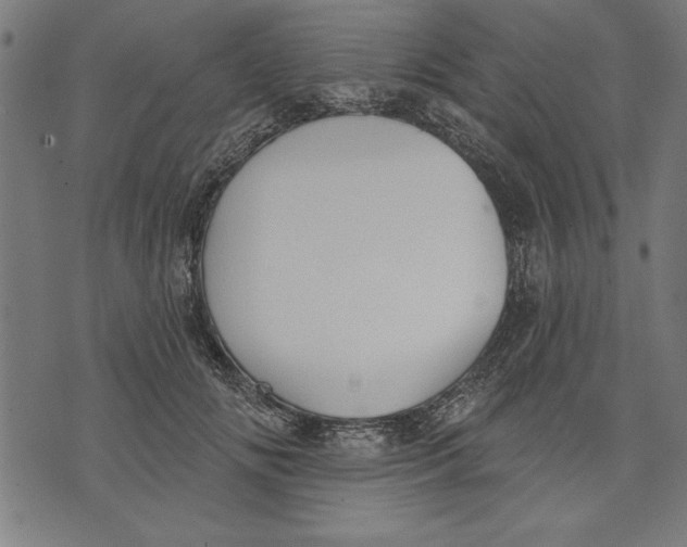 X0000073480702200608211625