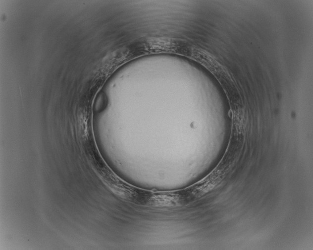 X0000073480703200608211625