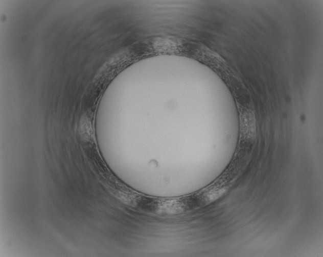 X0000073480705200608211625